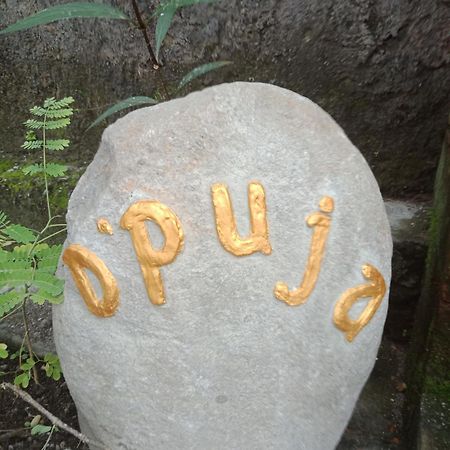 D'Puja Home Stay And Spa ヌサドゥア エクステリア 写真