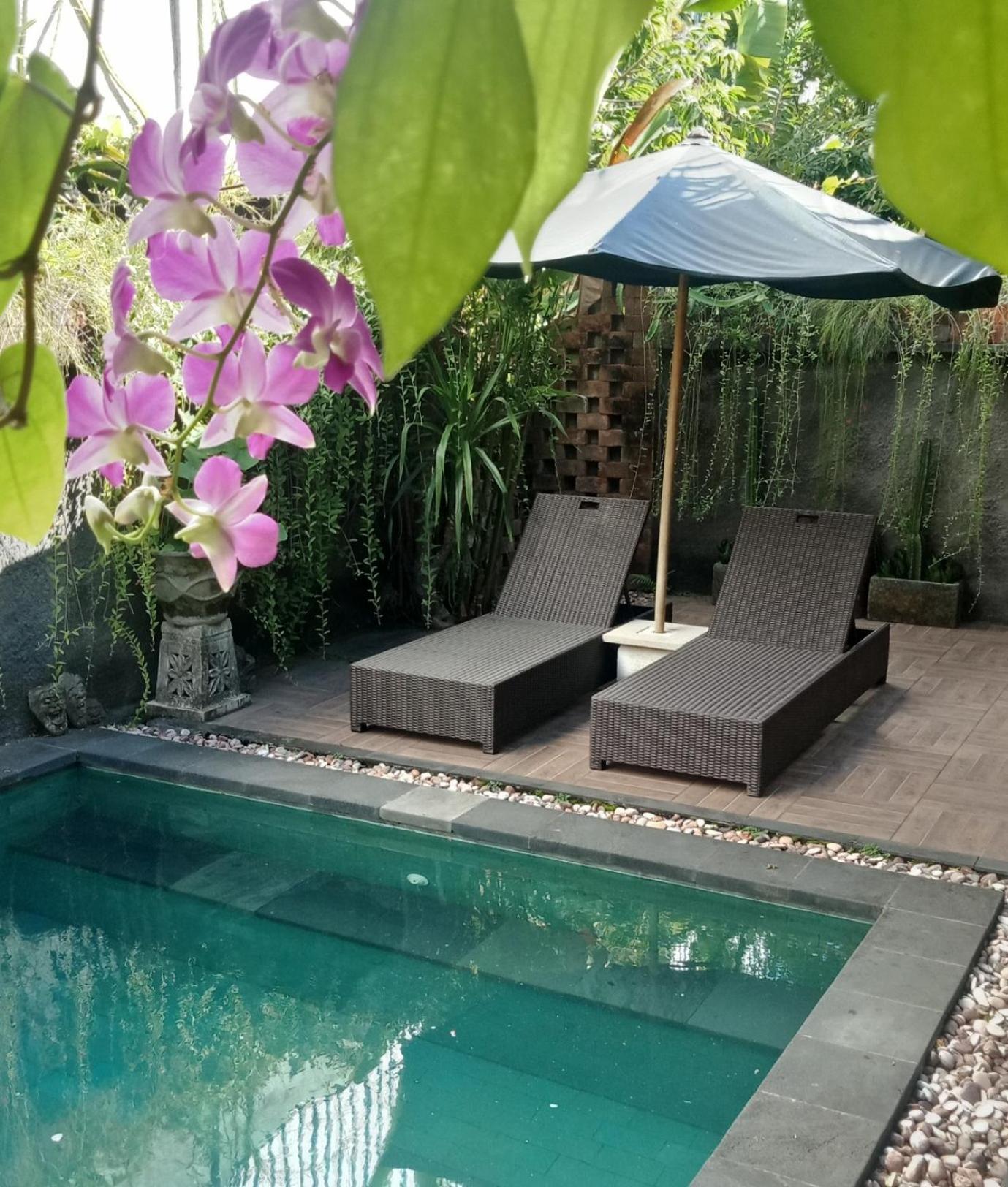 D'Puja Home Stay And Spa ヌサドゥア エクステリア 写真